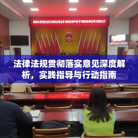 法律法规贯彻落实意见深度解析，实践指导与行动指南