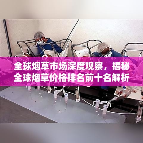 全球烟草市场深度观察，揭秘全球烟草价格排名前十名解析