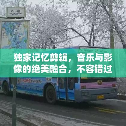 独家记忆剪辑，音乐与影像的绝美融合，不容错过！