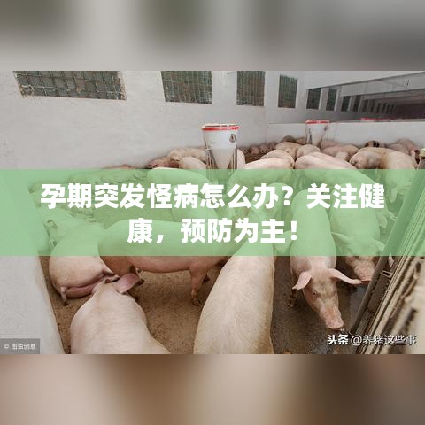 孕期突发怪病怎么办？关注健康，预防为主！