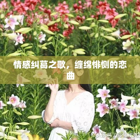 情感纠葛之歌，缠绵悱恻的恋曲