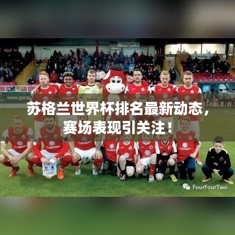 苏格兰世界杯排名最新动态，赛场表现引关注！