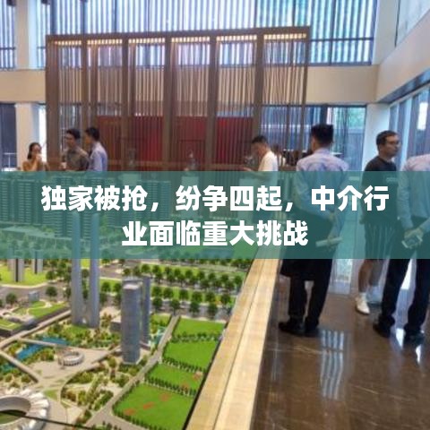 独家被抢，纷争四起，中介行业面临重大挑战