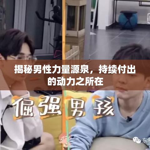 揭秘男性力量源泉，持续付出的动力之所在