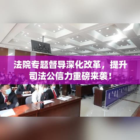 法院专题督导深化改革，提升司法公信力重磅来袭！