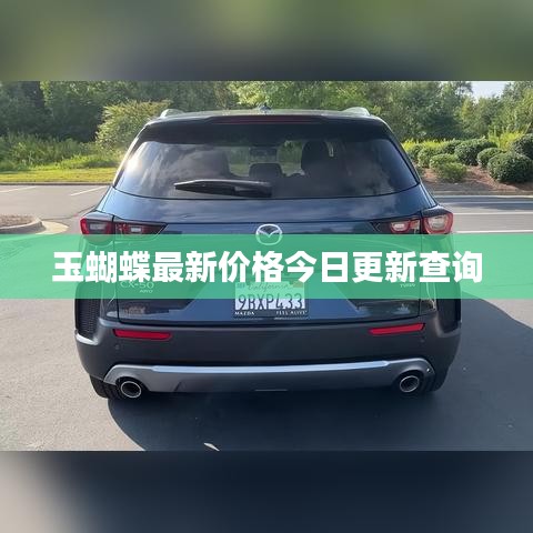 玉蝴蝶最新价格今日更新查询