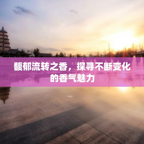 馥郁流转之香，探寻不断变化的香气魅力