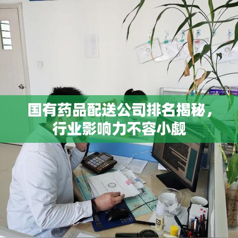 国有药品配送公司排名揭秘，行业影响力不容小觑