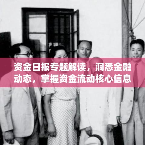 资金日报专题解读，洞悉金融动态，掌握资金流动核心信息！