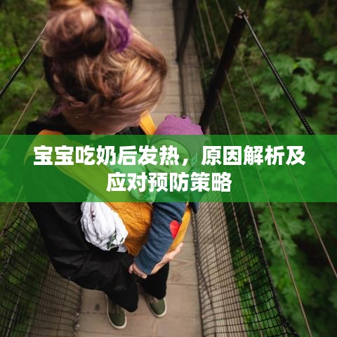 宝宝吃奶后发热，原因解析及应对预防策略