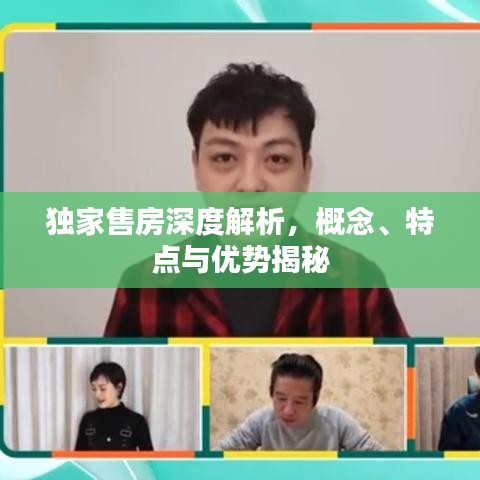 独家售房深度解析，概念、特点与优势揭秘