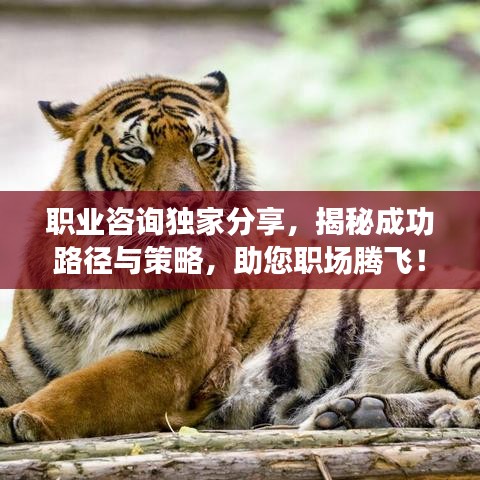职业咨询独家分享，揭秘成功路径与策略，助您职场腾飞！