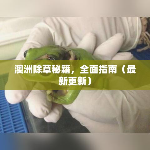 澳洲除草秘籍，全面指南（最新更新）