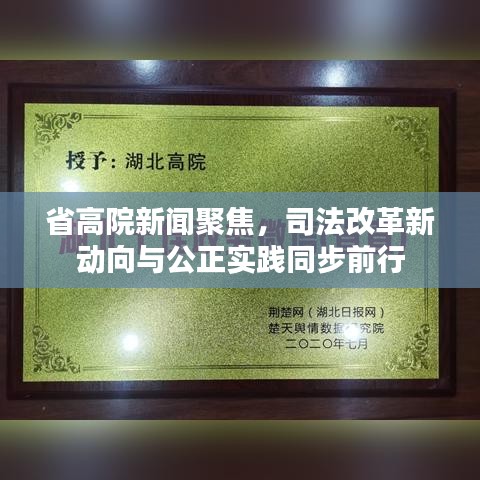 省高院新闻聚焦，司法改革新动向与公正实践同步前行