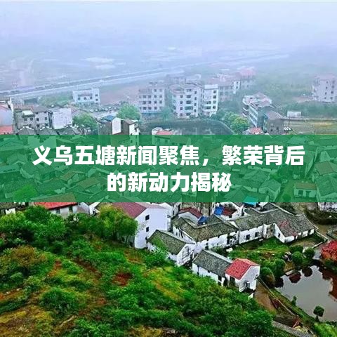 义乌五塘新闻聚焦，繁荣背后的新动力揭秘