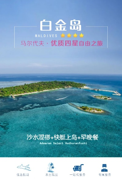 白金岛手机版官方下载,数据解析导向策略_QHD版_v9.775