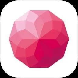 荔枝视频官方下载同递拎宝最新版本,灵活操作方案|尊贵款_v2.888