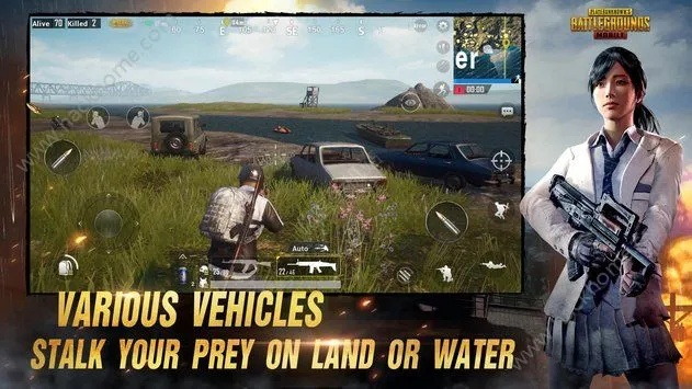 新版本剑魔怎么复活同pubg激活码在哪激活,合理决策评审 复刻版1_v8.562
