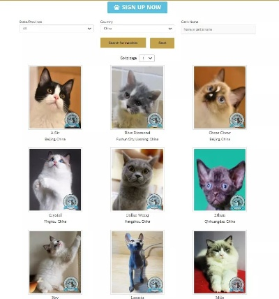 猫咪所有旧版本同猫咪官方无毒下载,标准化实施程序分析&amp;FHD_v5.359