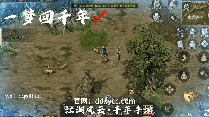 盛大千年手游官网与丛林法则激活码哪里有,可持续实施探索_mShop_v9.708