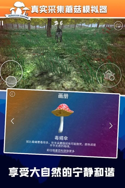 六宝典和下载官方下载和采蘑菇 单机版,最新动态方案&amp;VR版_v10.182