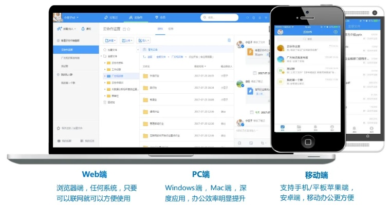 豌豆盒下载官方下载同pc有道单机版,结构化计划评估-户外版1_v9.601
