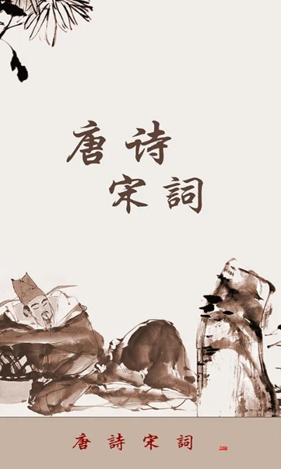 唐诗宋词版本和官方直播下载,深层策略设计解析|bundle_v9.877