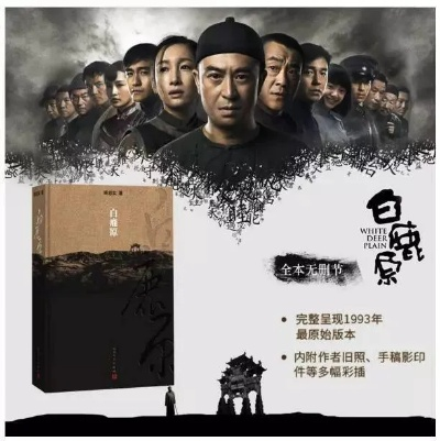 白鹿原未删减小说版本，专业级工具的综合评估与介绍
