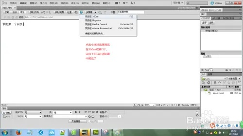 关于dw cs6官方下载及其经典解析说明Superior_v8.673的核心功能清单