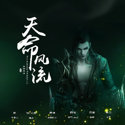 天命风流版本,整体执行讲解 PalmOS_v8.306