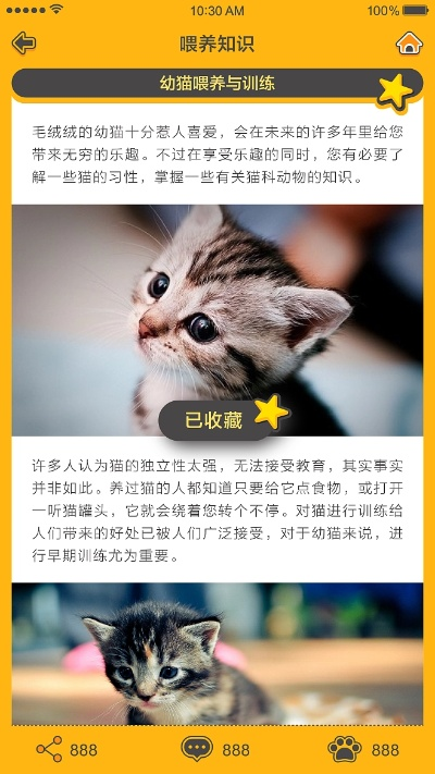 猫咪1.0.2版本下载,综合研究解释定义_户外版_v1.832