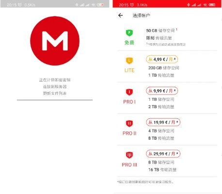 mega官方下载器,深入分析数据应用&特别款_v1.908