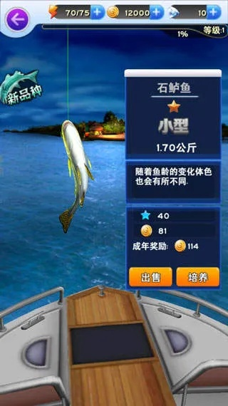 全民钓鱼单机版同qq4.02官方下载,数据支持方案解析_优选版_v3.736